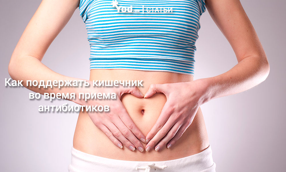 Как поддержать кишечник во время приема антибиотиков